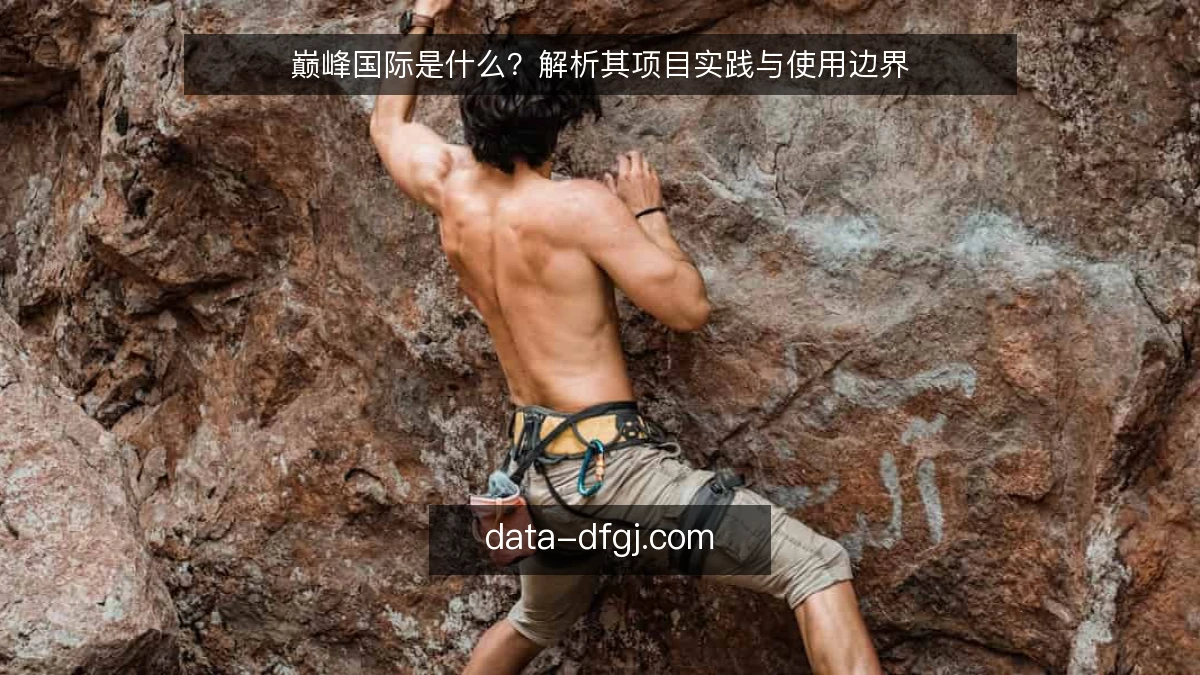 巅峰国际是什么？解析其项目实践与使用边界