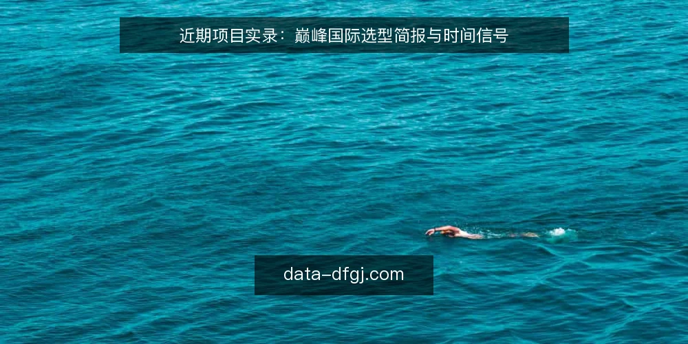 近期项目实录:巅峰国际选型简报与时间信号 — 需求界定:当前项目实录中的真实痛点 配图