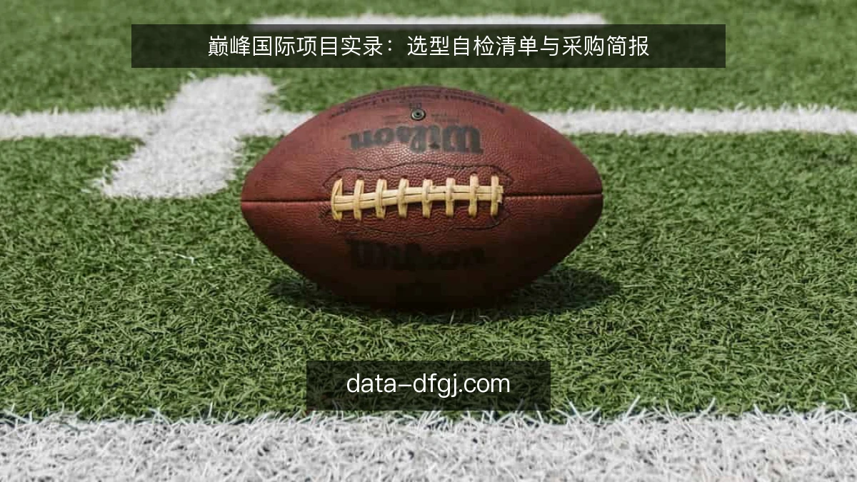 巅峰国际项目实录：选型自检清单与采购简报