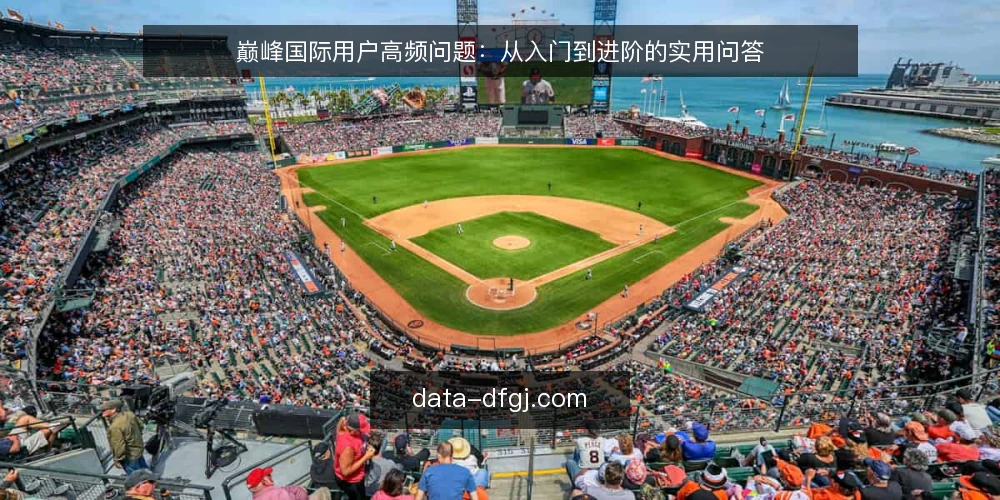 巅峰国际用户高频问题:从入门到进阶的实用问答 — 巅峰国际是什么?它的核心服务定位是什么? 配图