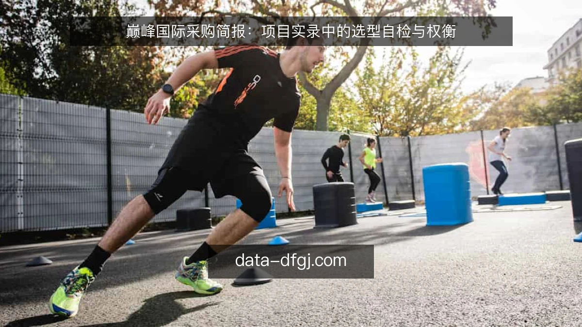 巅峰国际采购简报：项目实录中的选型自检与权衡