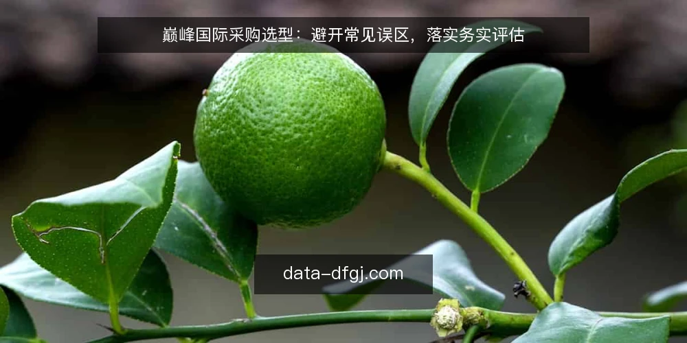 巅峰国际采购选型：避开常见误区，落实务实评估 — 先明确采购评估的边界 配图