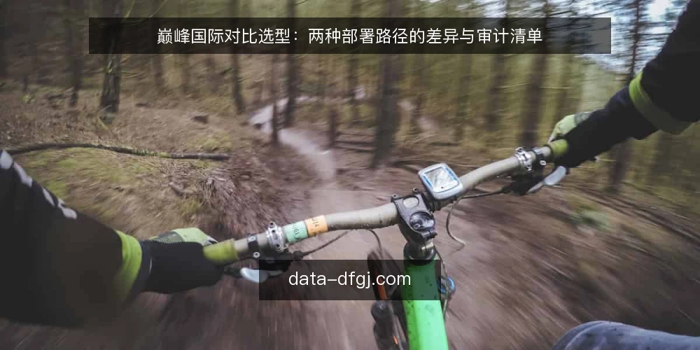 巅峰国际对比选型:两种部署路径的差异与审计清单 — 为什么现在需要做部署路径审计 配图