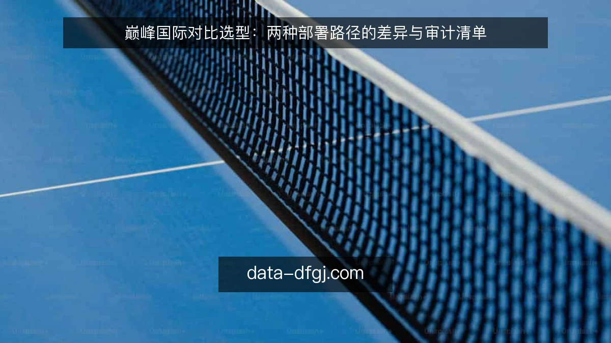 巅峰国际对比选型：两种部署路径的差异与审计清单