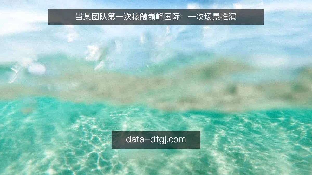 当某团队第一次接触巅峰国际：一次场景推演