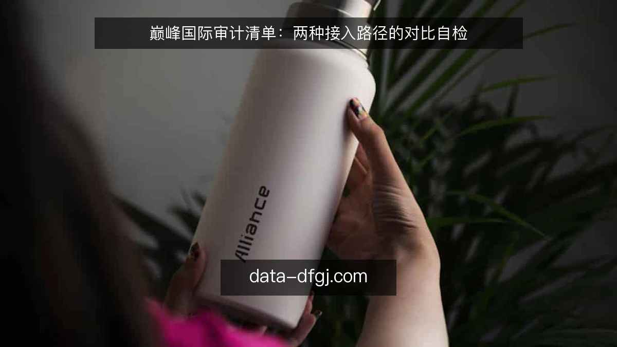 巅峰国际审计清单：两种接入路径的对比自检