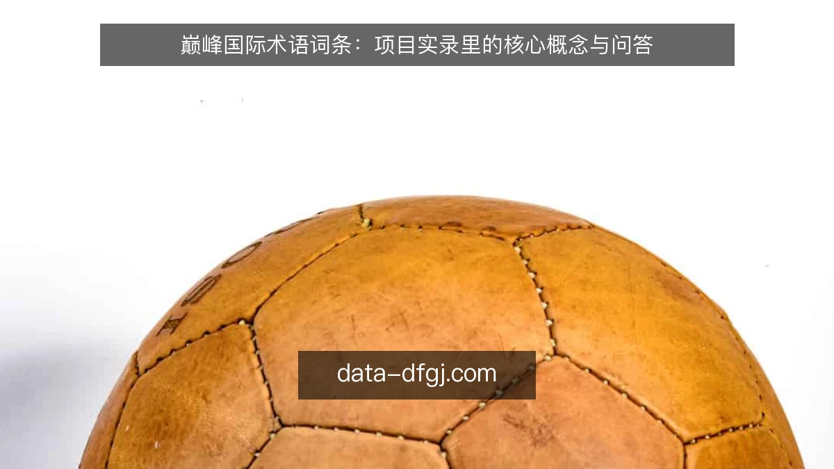 巅峰国际术语词条：项目实录里的核心概念与问答
